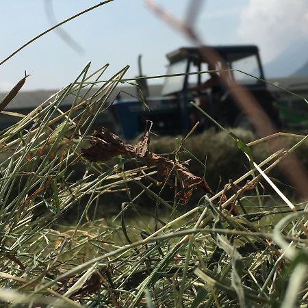 Agriturismo La Grange 圣马丁桥 外观 照片