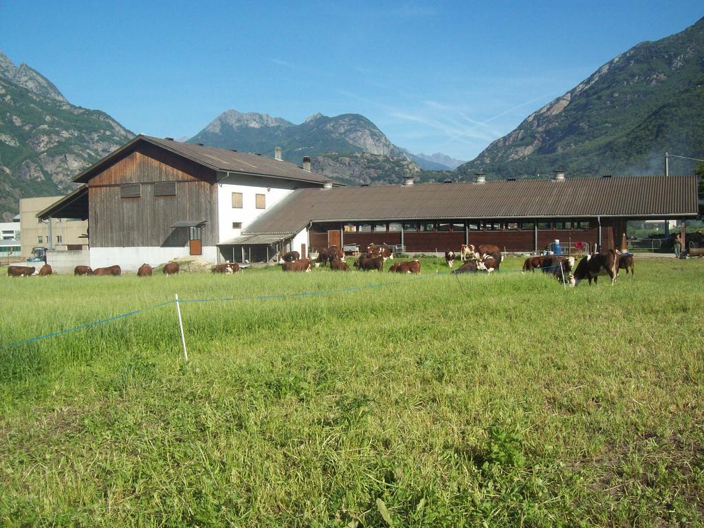 Agriturismo La Grange 圣马丁桥 外观 照片