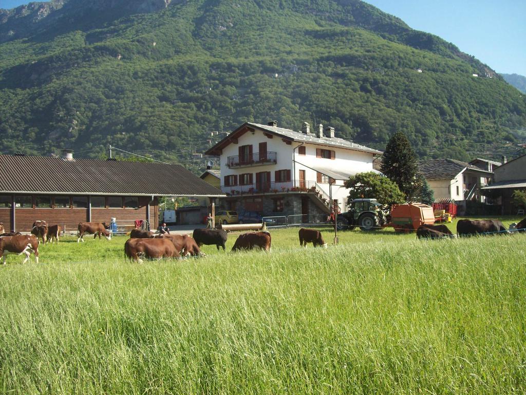 Agriturismo La Grange 圣马丁桥 外观 照片