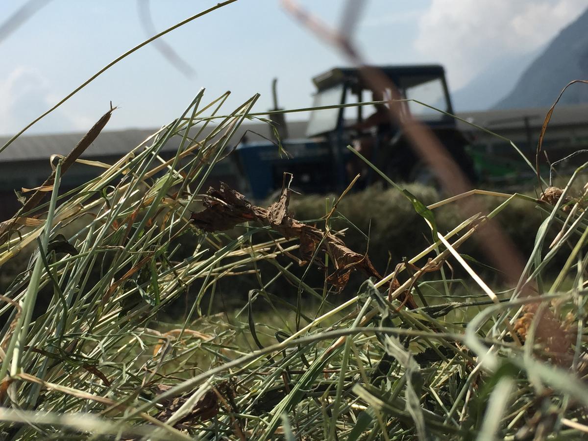 Agriturismo La Grange 圣马丁桥 外观 照片