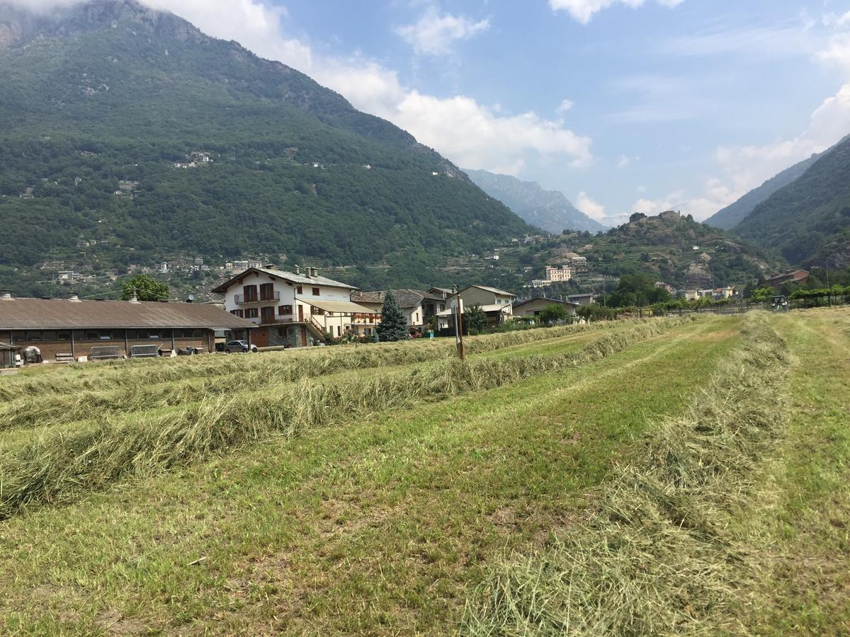 Agriturismo La Grange 圣马丁桥 外观 照片